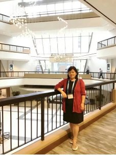 栏目用于追新